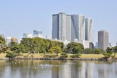 中央：勝どきザ・タワー（浜離宮から／2018年4月撮影）